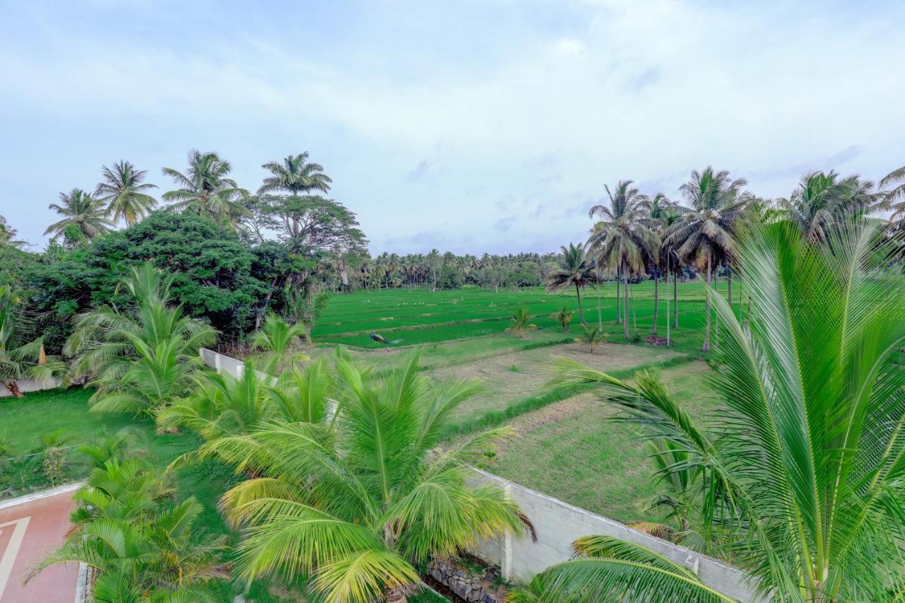 Krishnarajasagara Brindavan Garden Resort & Spa מראה חיצוני תמונה
