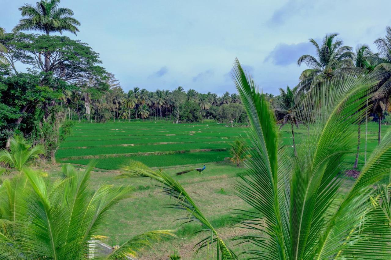 Krishnarajasagara Brindavan Garden Resort & Spa מראה חיצוני תמונה